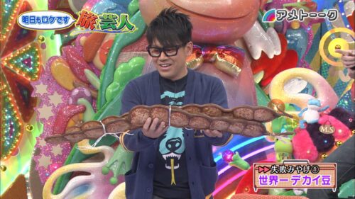 ～明日もロケです～旅芸人